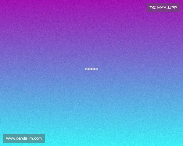 帕拉梅拉比赛视频