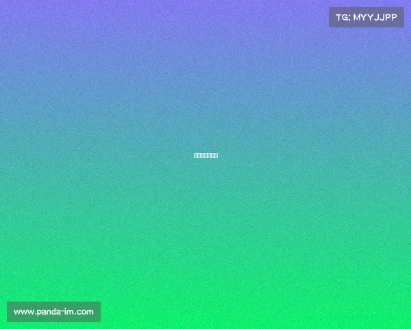 新加坡武术比赛