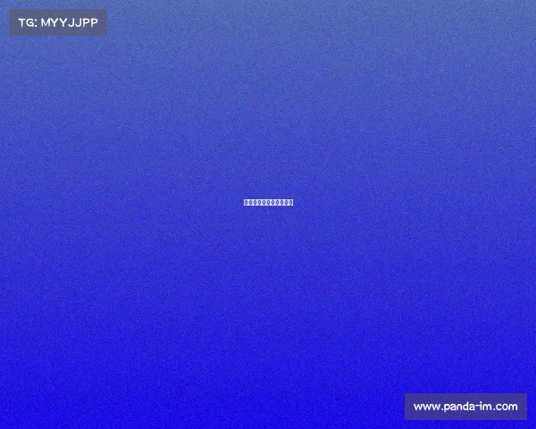 漯河赛车的地方具体位置