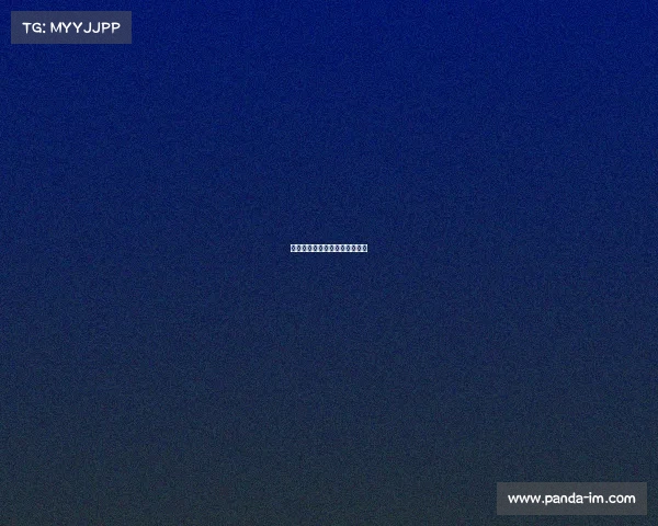 法国秘鲁赛事焦点对决精彩纷呈