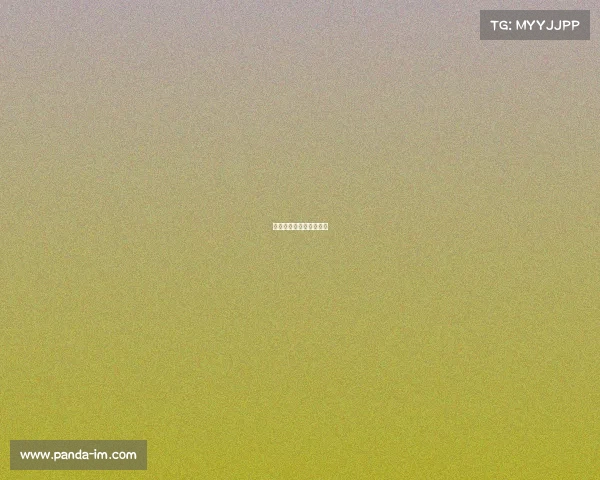 十三届全运会赛事有哪些